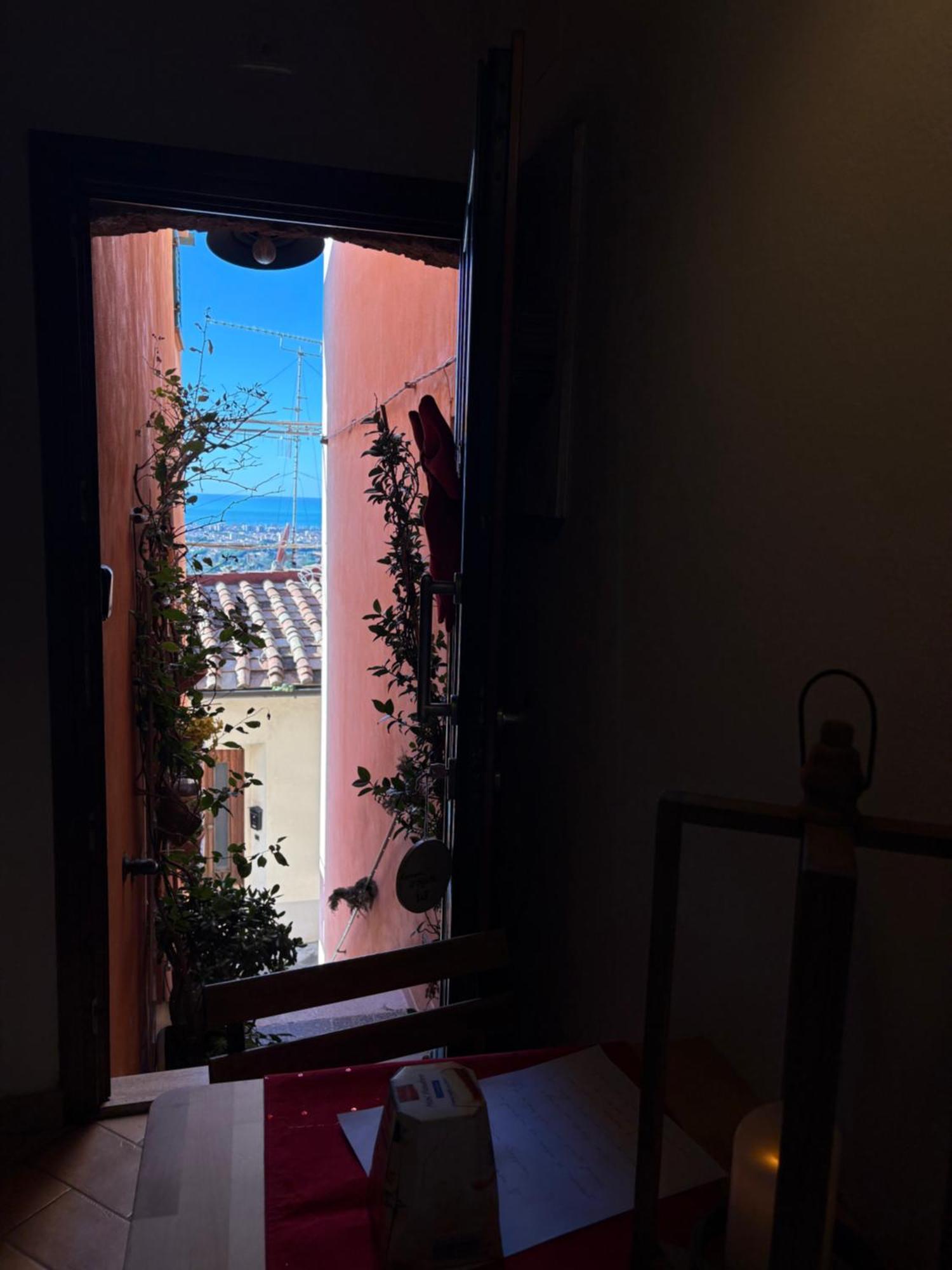 Bouganville Rosignano Marittimo Esterno foto
